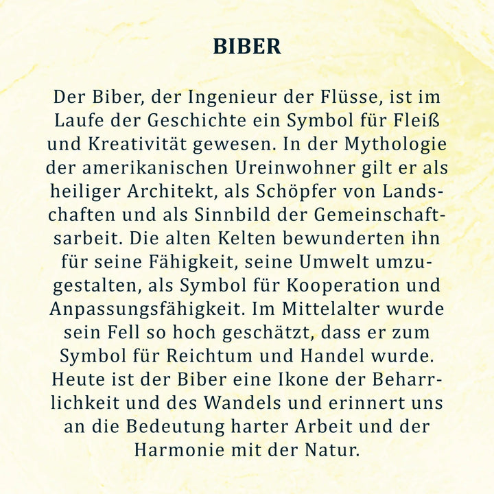 #design_biber