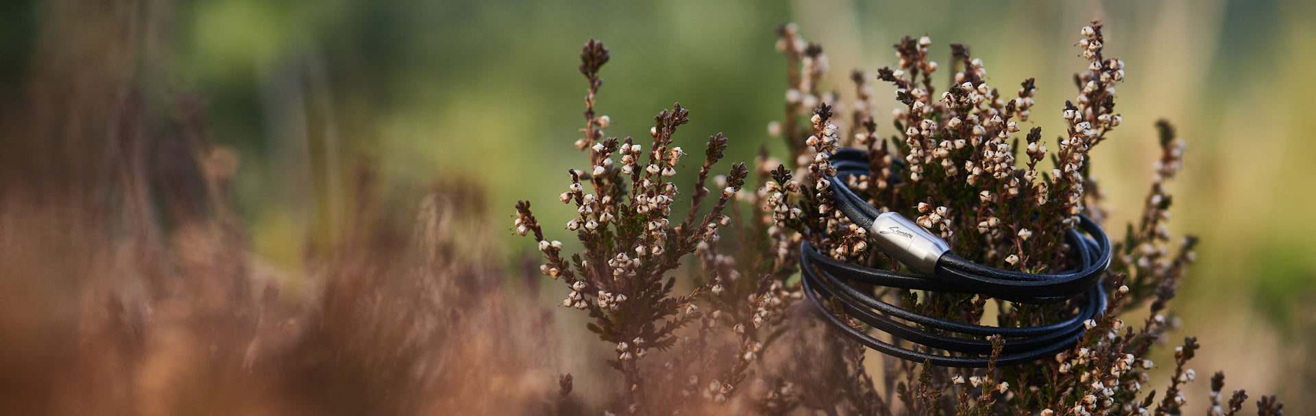Schwarzes Lederarmband um Strauch mit weißen Blüten gewickelt