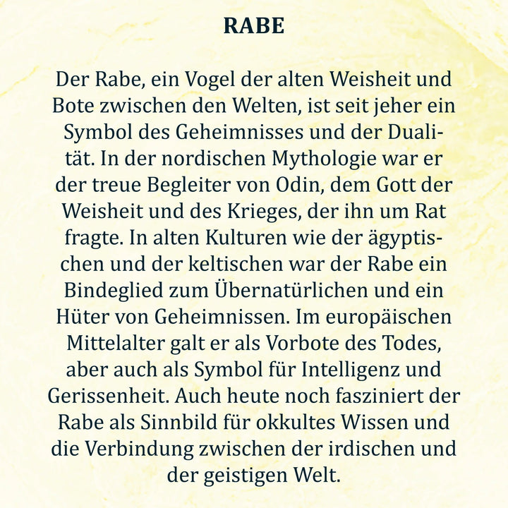 #design_rabe