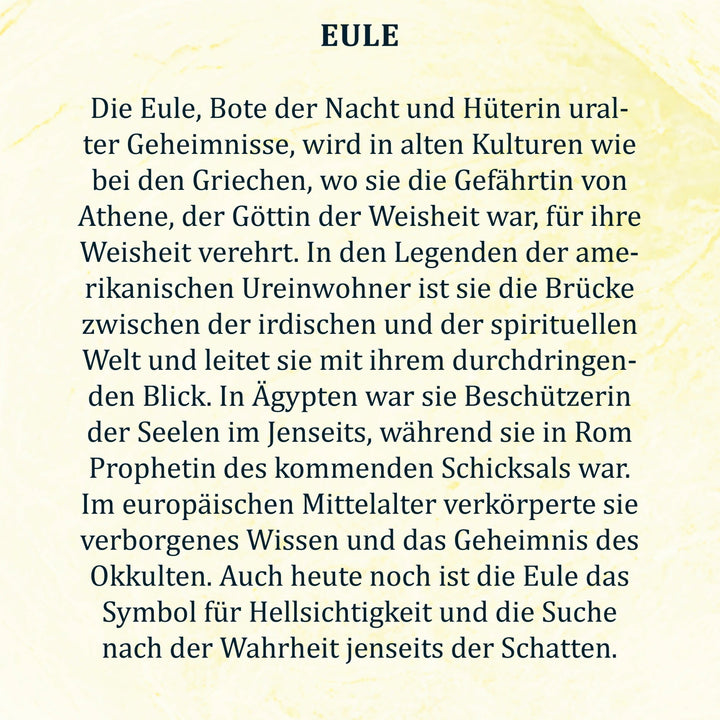 #design_eule